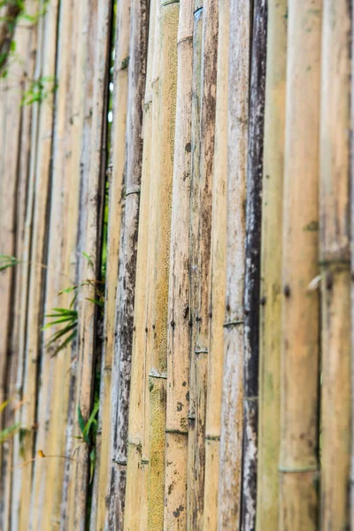 Latar Belakang Pagar Bambu Thailand — Stok Foto