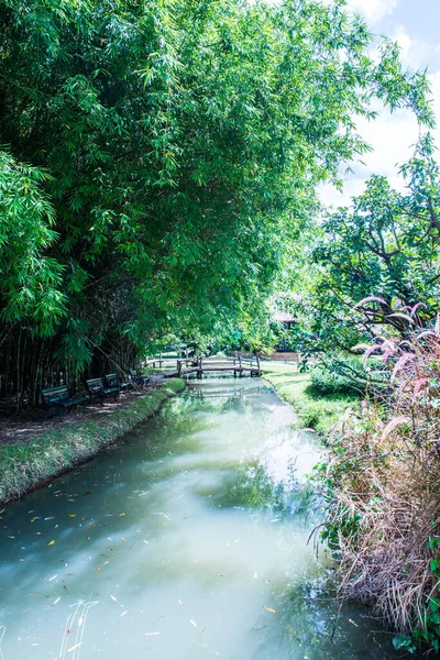 Park in Cherntawan International Meditation Center, Thailand.