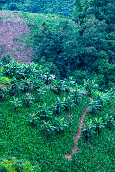 Tayland 'ın Phayao eyaletindeki dağ manzarası.