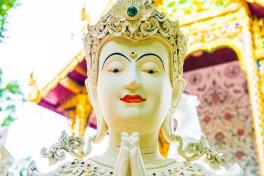 Tayland 'ın Chiangmai eyaletindeki Darabhirom Ormanı Manastırı' nda güzel bir kalıp sanatı..