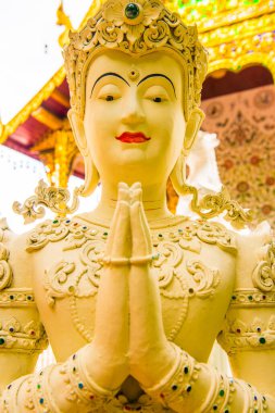 Tayland 'ın Chiangmai eyaletindeki Darabhirom Ormanı Manastırı' nda güzel bir kalıp sanatı..