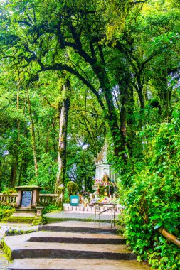 Doi Inthanon Ulusal Parkı 'ndaki Kral Inthanon Anıt Tapınağı, Tayland.