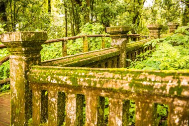Doi Inthanon Ulusal Parkı, Tayland 'da eski beton çitler..