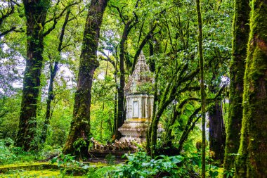 Doi Inthanon Ulusal Parkı 'ndaki Kral Inthanon Anıt Tapınağı, Tayland.