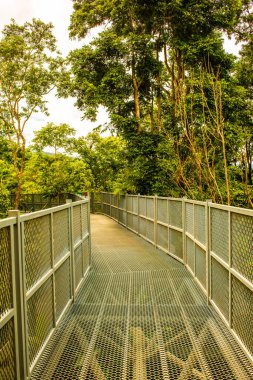 Tayland 'ın Chiangmai şehrindeki paraşüt yolu..