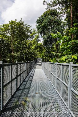 Tayland 'ın Chiangmai şehrindeki paraşüt yolu..