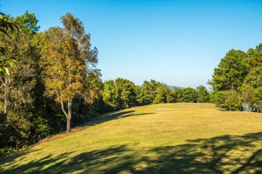 Tayland 'da, dağda çimler..