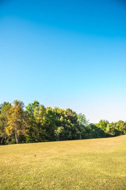 Tayland 'da, dağda çimler..