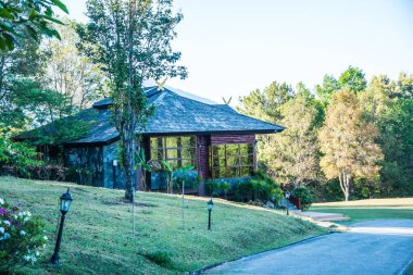 Doi Inthanon Ulusal Parkı 'ndaki Doi Pha Tang Sarayı' nda güzel bir park..