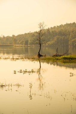 Tayland 'ın Chiangmai ilindeki Huay Tueng Tao gölünün manzara manzarası.