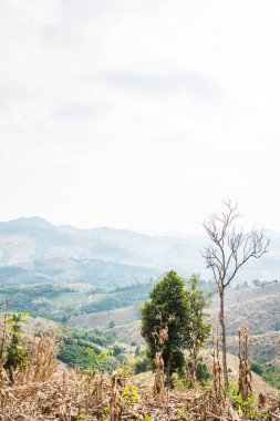 Tayland 'ın Phayao eyaletindeki dağ manzarası.