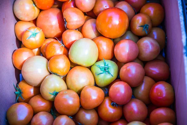Gruppe Von Orangen Tomaten Thailand — Stockfoto