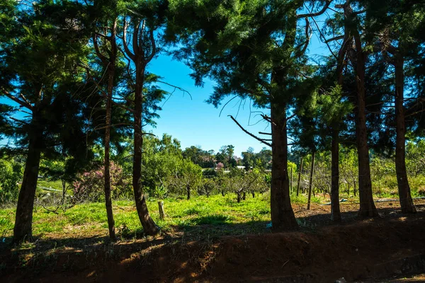 Khun Wang Kraliyet Projesi, Tayland.