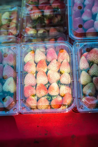 Verse Aardbeien Plastic Doos Thailand — Stockfoto