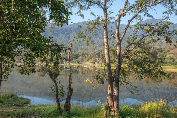 Widok Jezioro Huay Tueng Tao Prowincji Chiangmai Tajlandia — Zdjęcie stockowe