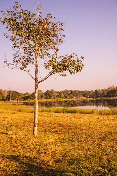 Tayland 'ın Chiangmai ilindeki Huay Tueng Tao gölünün manzara manzarası.