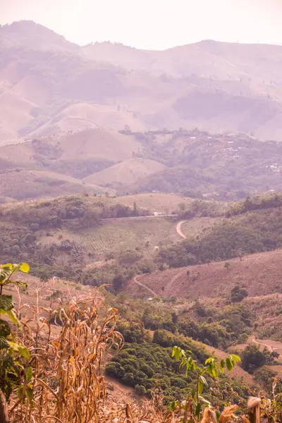 Tayland 'ın Phayao eyaletindeki dağ manzarası.
