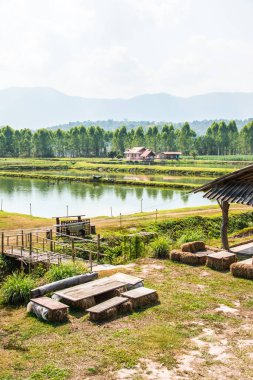 Tayland 'da küçük kulübeleri olan balık havuzu..