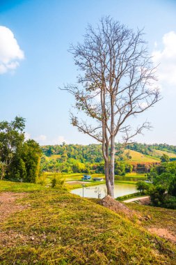 Tayland, Tayland kırsal manzarası.