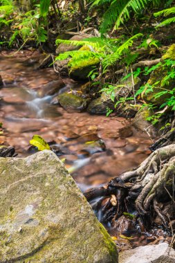 Champa Tanga Şelalesinde Su Akıyor, Tayland.