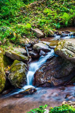 Champa Tanga Şelalesinde Su Akıyor, Tayland.