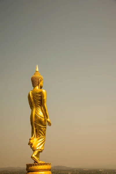 Caminhando Estátua Dourada Buddha Phra Que Khao Noi Templo Tailândia — Fotografia de Stock