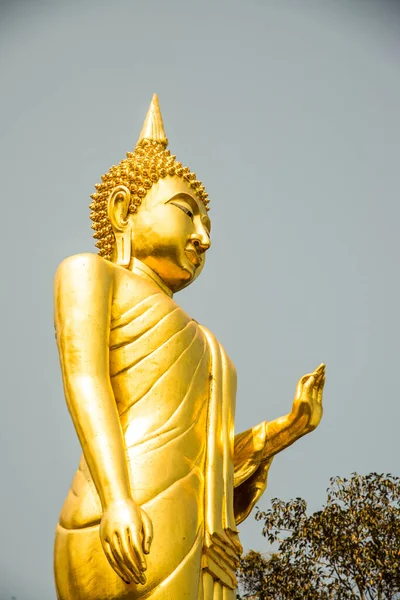 タイのハオノイ寺院で金仏像を歩く — ストック写真