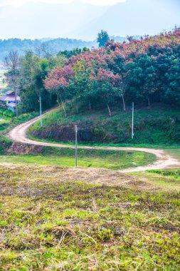 Tayland kırsallı Laterite Yolu, Tayland.