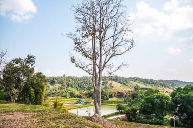 Tayland, Tayland kırsal manzarası.