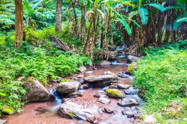 Champa Tanga Şelalesi 'nde küçük bir dere, Tayland.