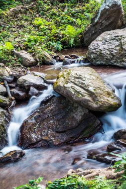 Champa Tanga Şelalesinde Su Akıyor, Tayland.