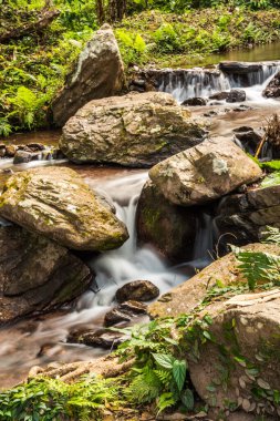 Champa Tanga Şelalesinde Su Akıyor, Tayland.