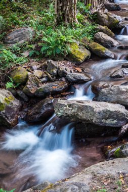 Champa Tanga Şelalesi 'nde küçük bir dere, Tayland.