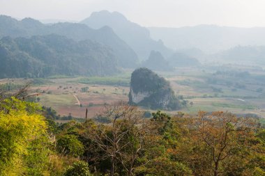 Phu Langka Ulusal Parkı, Tayland Güzel Manzarası.