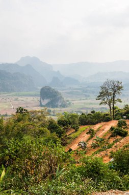 Phu Langka Ulusal Parkı, Tayland Güzel Manzarası.