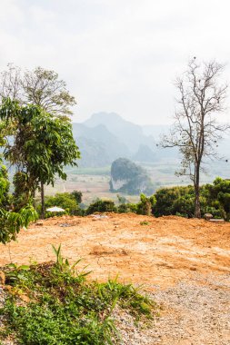 Phu Langka Ulusal Parkı, Tayland Güzel Manzarası.