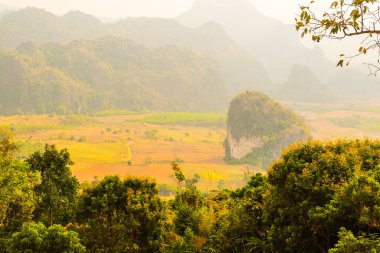 Phu Langka Ulusal Parkı, Tayland Güzel Manzarası.