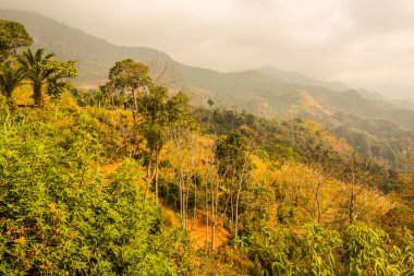 Phu Langka Ulusal Parkı, Tayland Güzel Manzarası.