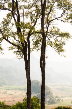 Phu Langka Ulusal Parkı, Tayland Güzel Manzarası.