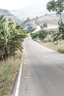 Tayland 'ın Phayao eyaletinde dağdaki yol.