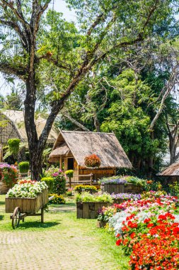 Mae Fah Luang Garden Peyzajı, Tayland.