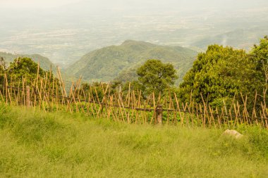 Tayland 'ın Chiangmai bölgesindeki dağ manzarası..