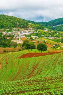 Mon Cham, Tayland 'daki dağdaki köy..