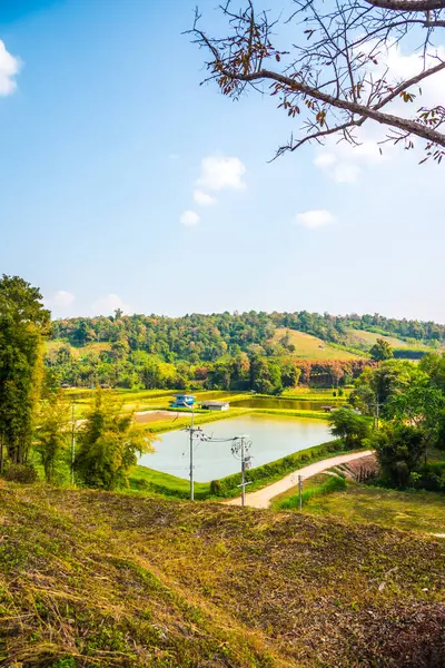 Tayland, Tayland kırsal manzarası.