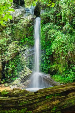 Chiang Mai Eyaleti, Tayland 'daki Monthatharn Şelalesi.