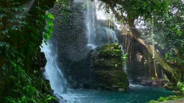Chiang Mai, Tayland 'da gölgeli bir bahçede şelale..