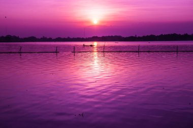 Sabah Kwan Phayao Gölü, Tayland.