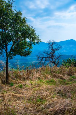 Tayland 'ın Phayao eyaletindeki dağ manzarası.