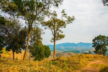 Tayland 'ın Phayao eyaletindeki dağ manzarası.