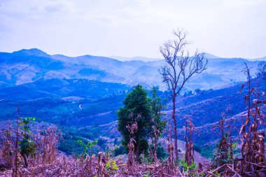 Tayland 'ın Phayao eyaletindeki dağ manzarası.